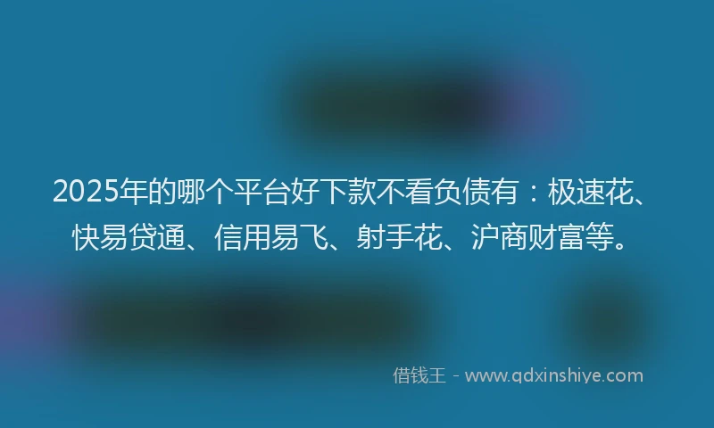 2025年的哪个平台好下款不看负债有：极速花、快易贷通、信用易飞、射手花、沪商财富等。