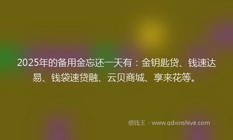 2025年的备用金忘还一天有：金钥匙贷、钱速达易、钱袋速贷融、云贝商城、享来花等。