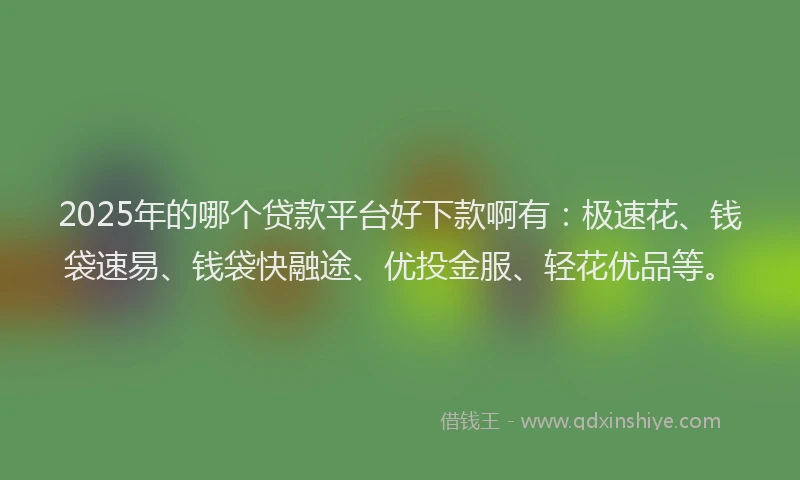 2025年的哪个贷款平台好下款啊有：极速花、钱袋速易、钱袋快融途、优投金服、轻花优品等。