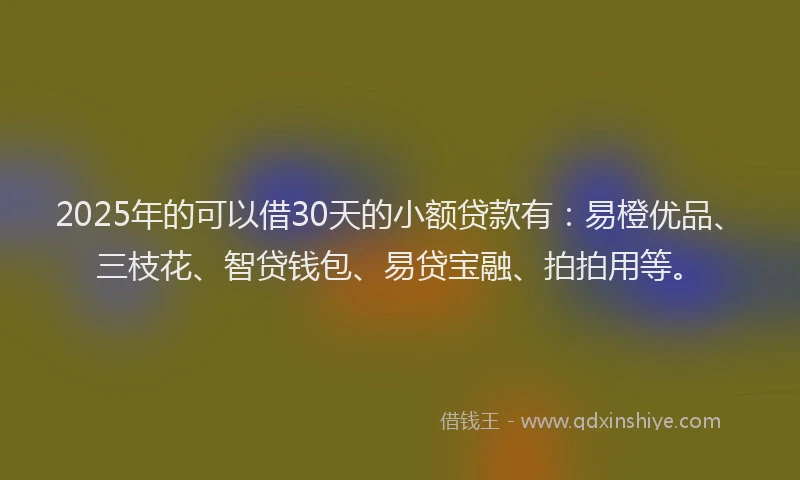 2025年的可以借30天的小额贷款有：易橙优品、三枝花、智贷钱包、易贷宝融、拍拍用等。