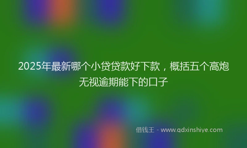 2025年最新哪个小贷贷款好下款，概括五个高炮无视逾期能下的口子