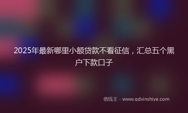 2025年最新哪里小额贷款不看征信，汇总五个黑户下款口子