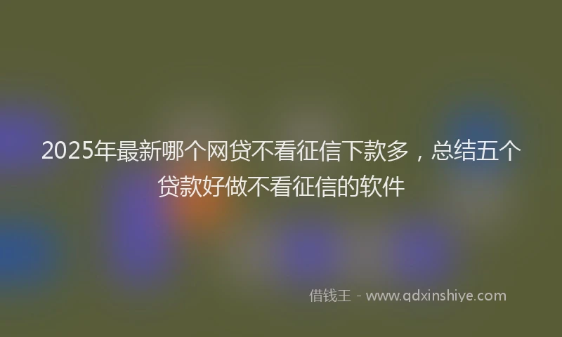 2025年最新哪个网贷不看征信下款多，总结五个贷款好做不看征信的软件