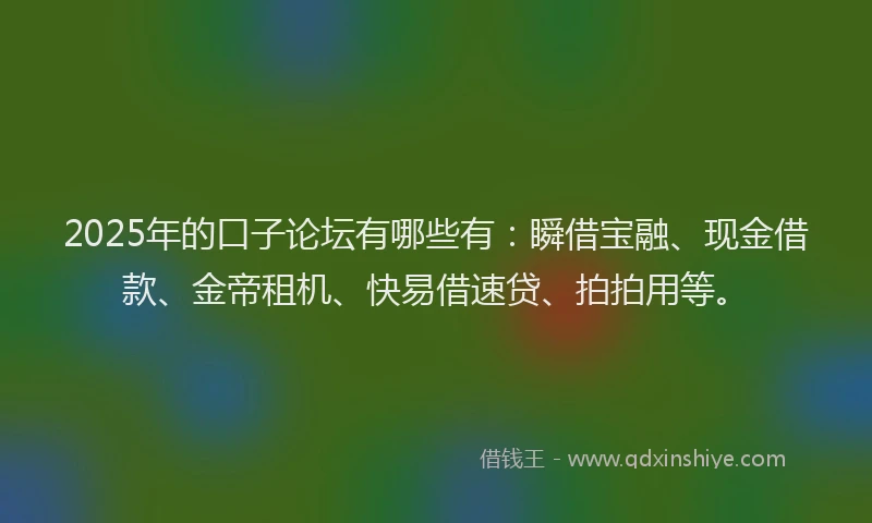 2025年的口子论坛有哪些有：瞬借宝融、现金借款、金帝租机、快易借速贷、拍拍用等。
