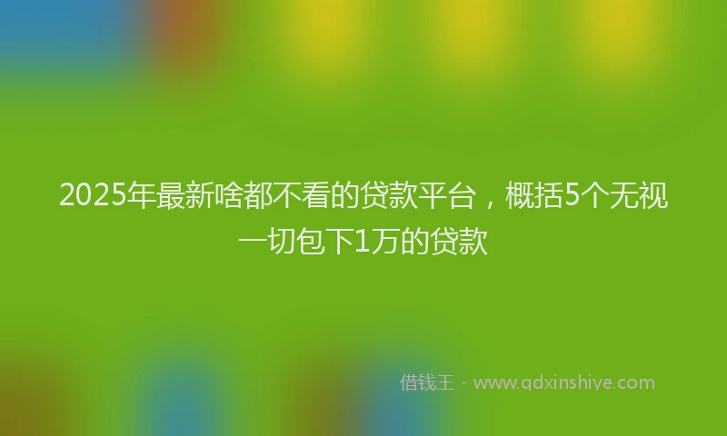 2025年最新啥都不看的贷款平台，概括5个无视一切包下1万的贷款
