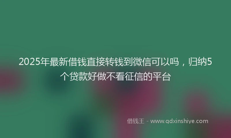 2025年最新借钱直接转钱到微信可以吗，归纳5个贷款好做不看征信的平台