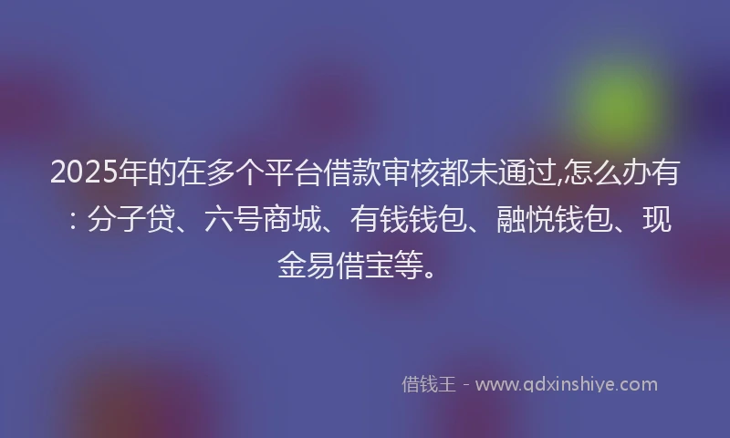 2025年的在多个平台借款审核都未通过,怎么办有：分子贷、六号商城、有钱钱包、融悦钱包、现金易借宝等。