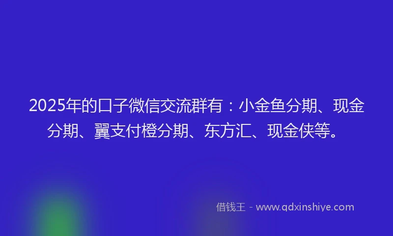 2025年的口子微信交流群有：小金鱼分期、现金分期、翼支付橙分期、东方汇、现金侠等。