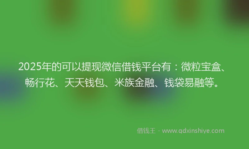 2025年的可以提现微信借钱平台有：微粒宝盒、畅行花、天天钱包、米族金融、钱袋易融等。