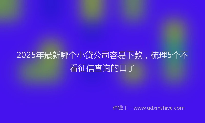 2025年最新哪个小贷公司容易下款，梳理5个不看征信查询的口子