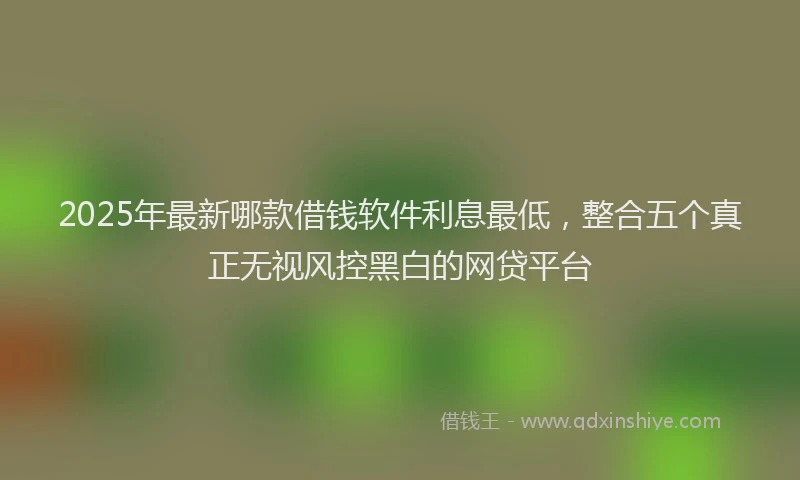 2025年最新哪款借钱软件利息最低，整合五个真正无视风控黑白的网贷平台