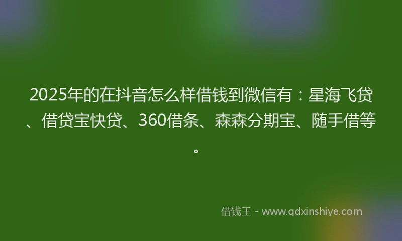 2025年的在抖音怎么样借钱到微信有：星海飞贷、借贷宝快贷、360借条、森森分期宝、随手借等。