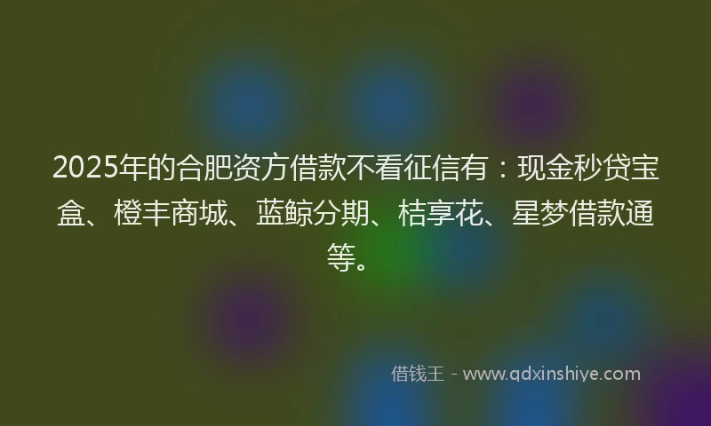 2025年的合肥资方借款不看征信有：现金秒贷宝盒、橙丰商城、蓝鲸分期、桔享花、星梦借款通等。