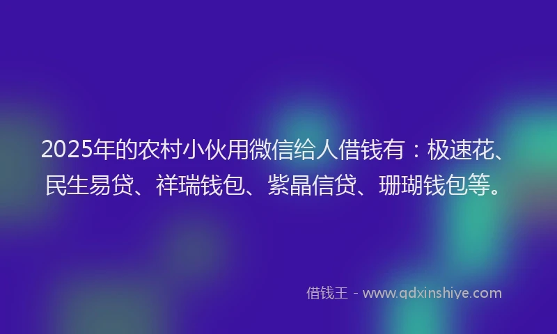 2025年的农村小伙用微信给人借钱有：极速花、民生易贷、祥瑞钱包、紫晶信贷、珊瑚钱包等。
