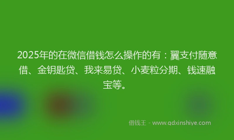 2025年的在微信借钱怎么操作的有：翼支付随意借、金钥匙贷、我来易贷、小麦粒分期、钱速融宝等。