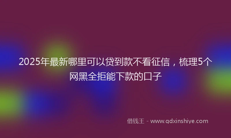 2025年最新哪里可以贷到款不看征信，梳理5个网黑全拒能下款的口子