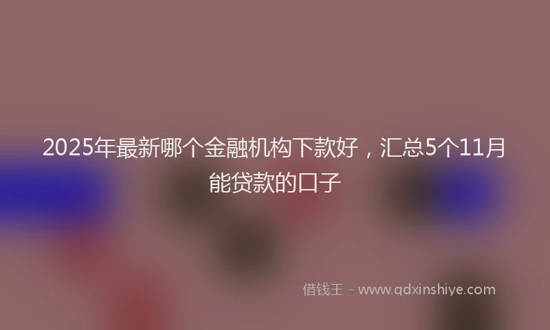 2025年最新哪个金融机构下款好，汇总5个11月能贷款的口子
