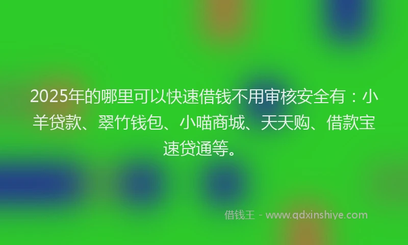 2025年的哪里可以快速借钱不用审核安全有：小羊贷款、翠竹钱包、小喵商城、天天购、借款宝速贷通等。