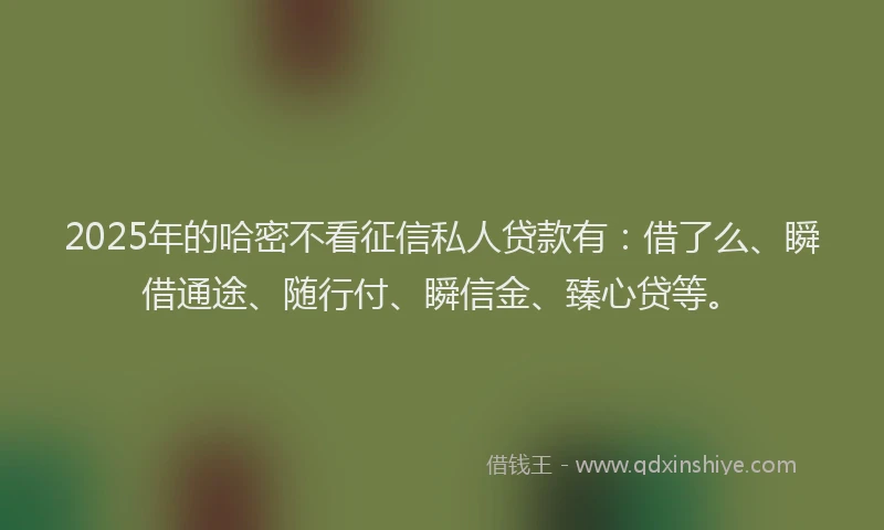 2025年的哈密不看征信私人贷款有：借了么、瞬借通途、随行付、瞬信金、臻心贷等。