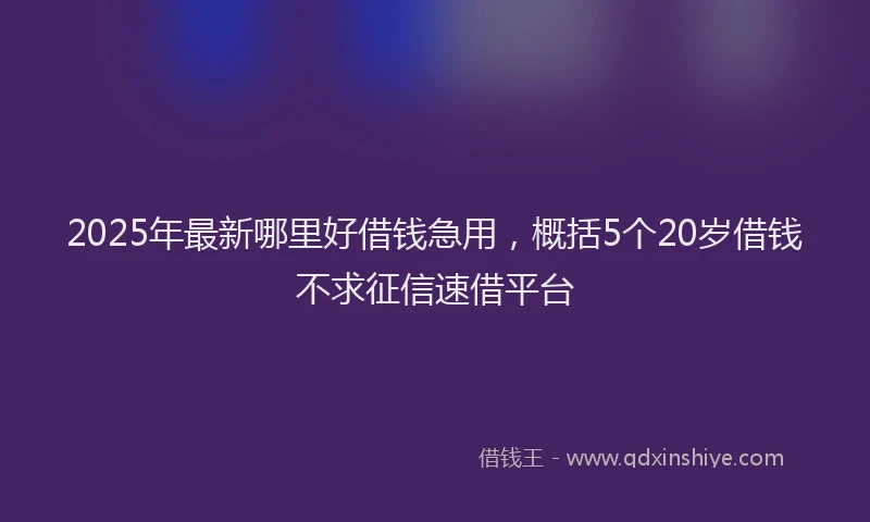 2025年最新哪里好借钱急用，概括5个20岁借钱不求征信速借平台