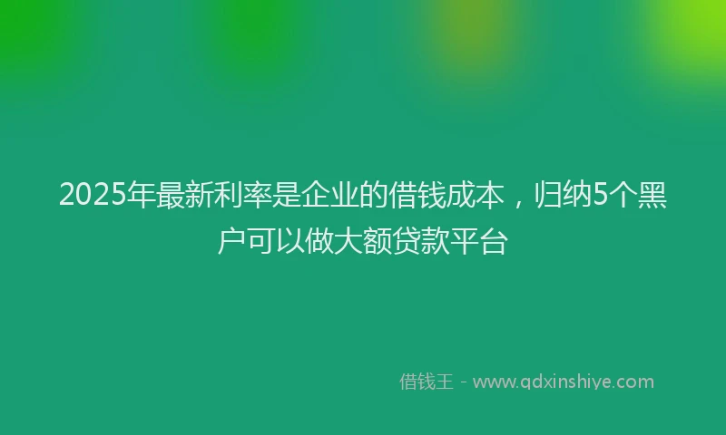 2025年最新利率是企业的借钱成本，归纳5个黑户可以做大额贷款平台