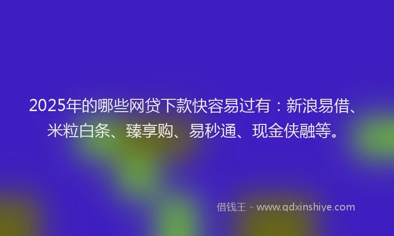 2025年的哪些网贷下款快容易过有：新浪易借、米粒白条、臻享购、易秒通、现金侠融等。