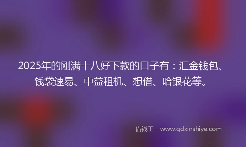 2025年的刚满十八好下款的口子有：汇金钱包、钱袋速易、中益租机、想借、哈银花等。