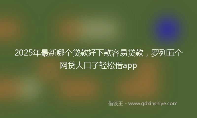 2025年最新哪个贷款好下款容易贷款，罗列五个网贷大口子轻松借app