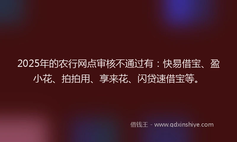 2025年的农行网点审核不通过有：快易借宝、盈小花、拍拍用、享来花、闪贷速借宝等。