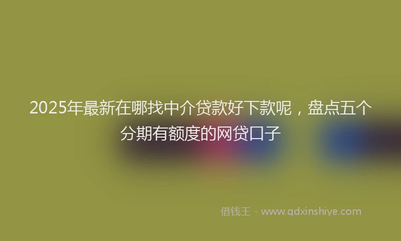 2025年最新在哪找中介贷款好下款呢，盘点五个分期有额度的网贷口子