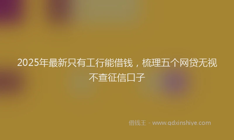 2025年最新只有工行能借钱，梳理五个网贷无视不查征信口子