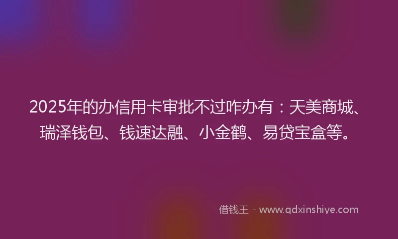 2025年的办信用卡审批不过咋办有：天美商城、瑞泽钱包、钱速达融、小金鹤、易贷宝盒等。