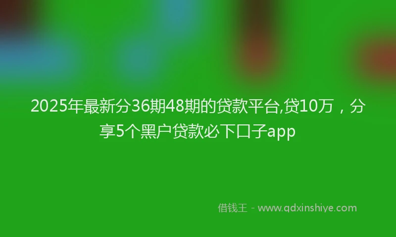 2025年最新分36期48期的贷款平台,贷10万，分享5个黑户贷款必下口子app