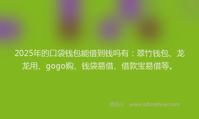 2025年的口袋钱包能借到钱吗有：翠竹钱包、龙龙用、gogo购、钱袋易借、借款宝易借等。