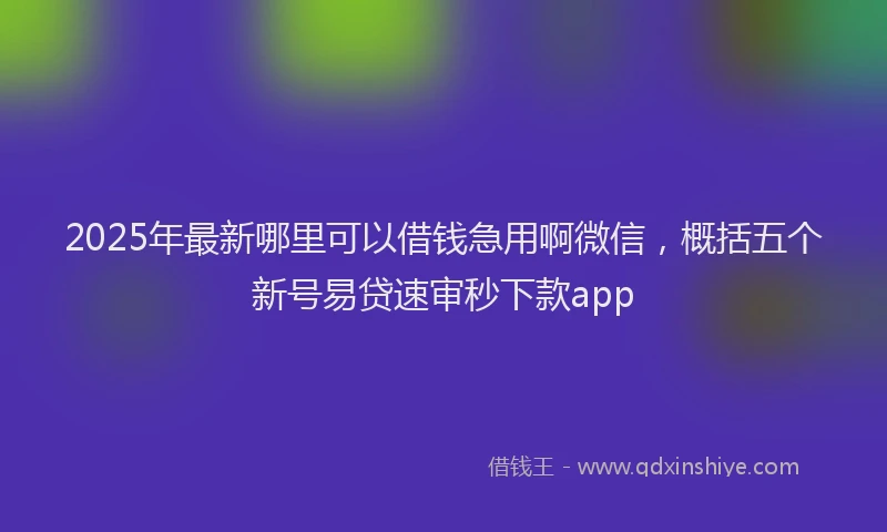 2025年最新哪里可以借钱急用啊微信，概括五个新号易贷速审秒下款app