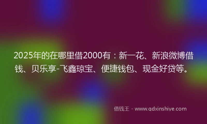 2025年的在哪里借2000有：新一花、新浪微博借钱、贝乐享-飞鑫琼宝、便捷钱包、现金好贷等。