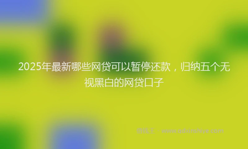 2025年最新哪些网贷可以暂停还款，归纳五个无视黑白的网贷口子