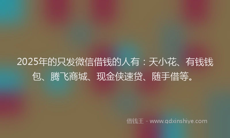 2025年的只发微信借钱的人有：天小花、有钱钱包、腾飞商城、现金侠速贷、随手借等。