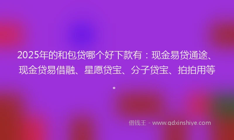 2025年的和包贷哪个好下款有：现金易贷通途、现金贷易借融、星愿贷宝、分子贷宝、拍拍用等。