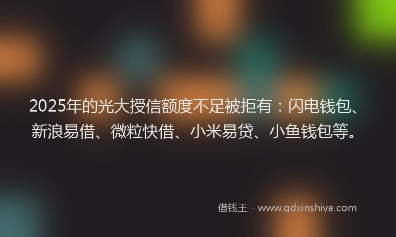 2025年的光大授信额度不足被拒有：闪电钱包、新浪易借、微粒快借、小米易贷、小鱼钱包等。