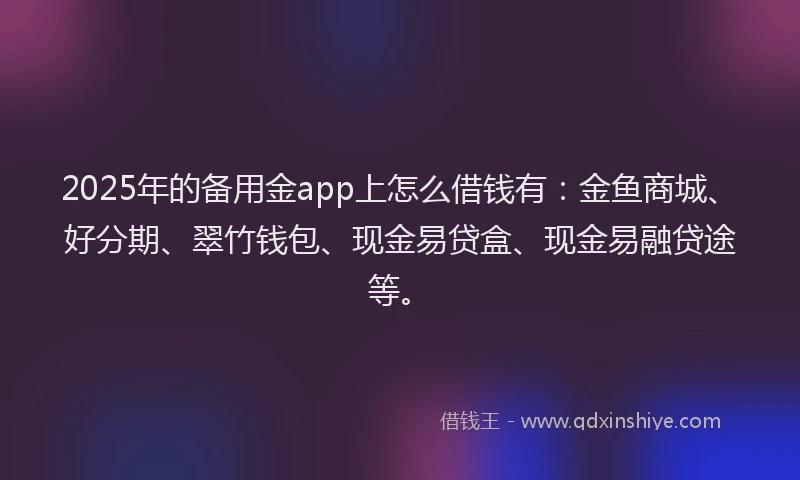 2025年的备用金app上怎么借钱有：金鱼商城、好分期、翠竹钱包、现金易贷盒、现金易融贷途等。
