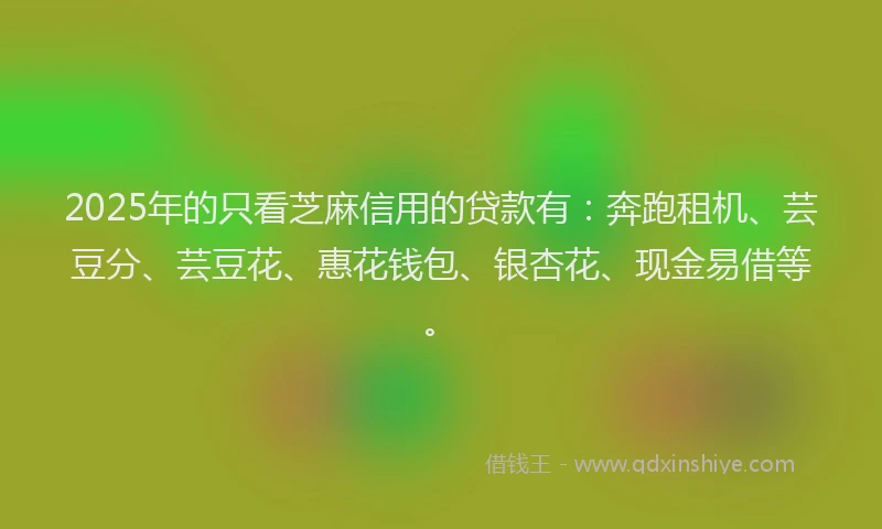 2025年的只看芝麻信用的贷款有：奔跑租机、芸豆分、芸豆花、惠花钱包、银杏花、现金易借等。