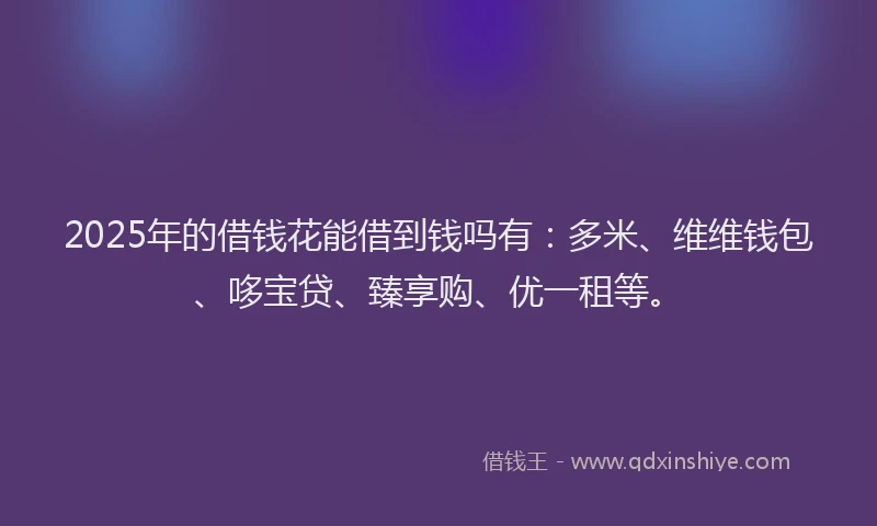 2025年的借钱花能借到钱吗有：多米、维维钱包、哆宝贷、臻享购、优一租等。