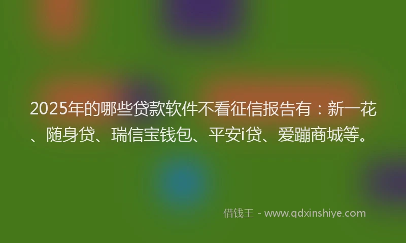2025年的哪些贷款软件不看征信报告有：新一花、随身贷、瑞信宝钱包、平安i贷、爱蹦商城等。