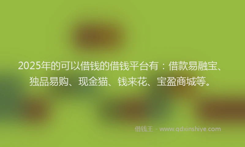 2025年的可以借钱的借钱平台有：借款易融宝、独品易购、现金猫、钱来花、宝盈商城等。