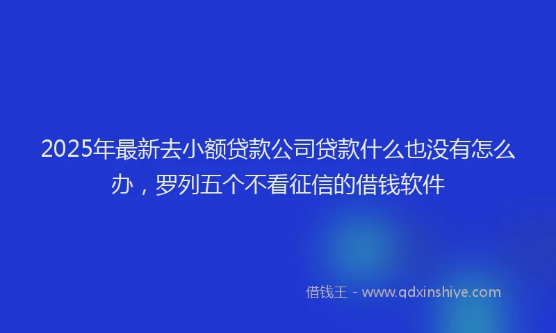 2025年最新去小额贷款公司贷款什么也没有怎么办，罗列五个不看征信的借钱软件