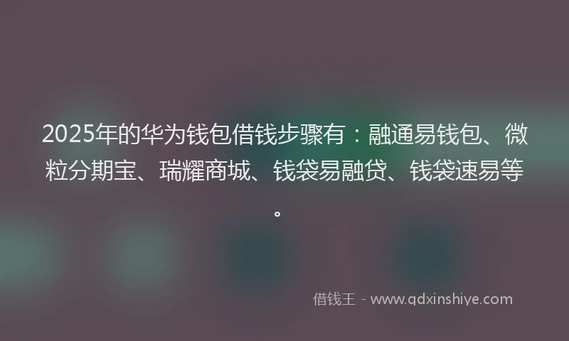 2025年的华为钱包借钱步骤有：融通易钱包、微粒分期宝、瑞耀商城、钱袋易融贷、钱袋速易等。