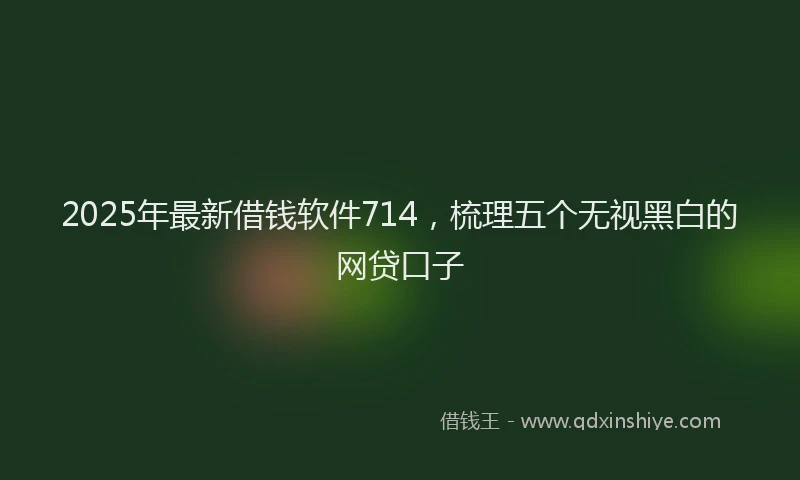 2025年最新借钱软件714，梳理五个无视黑白的网贷口子