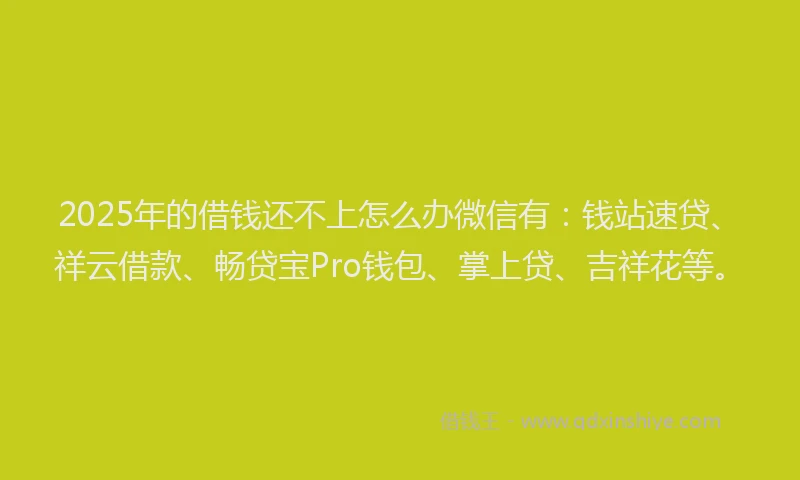 2025年的借钱还不上怎么办微信有：钱站速贷、祥云借款、畅贷宝Pro钱包、掌上贷、吉祥花等。