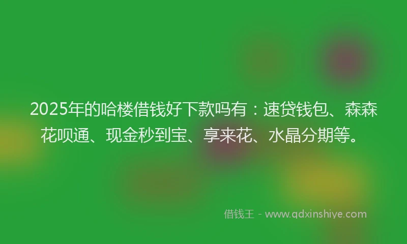 2025年的哈楼借钱好下款吗有：速贷钱包、森森花呗通、现金秒到宝、享来花、水晶分期等。